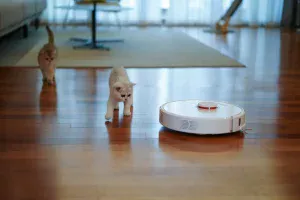 puissance aspirateur robot pour animaux